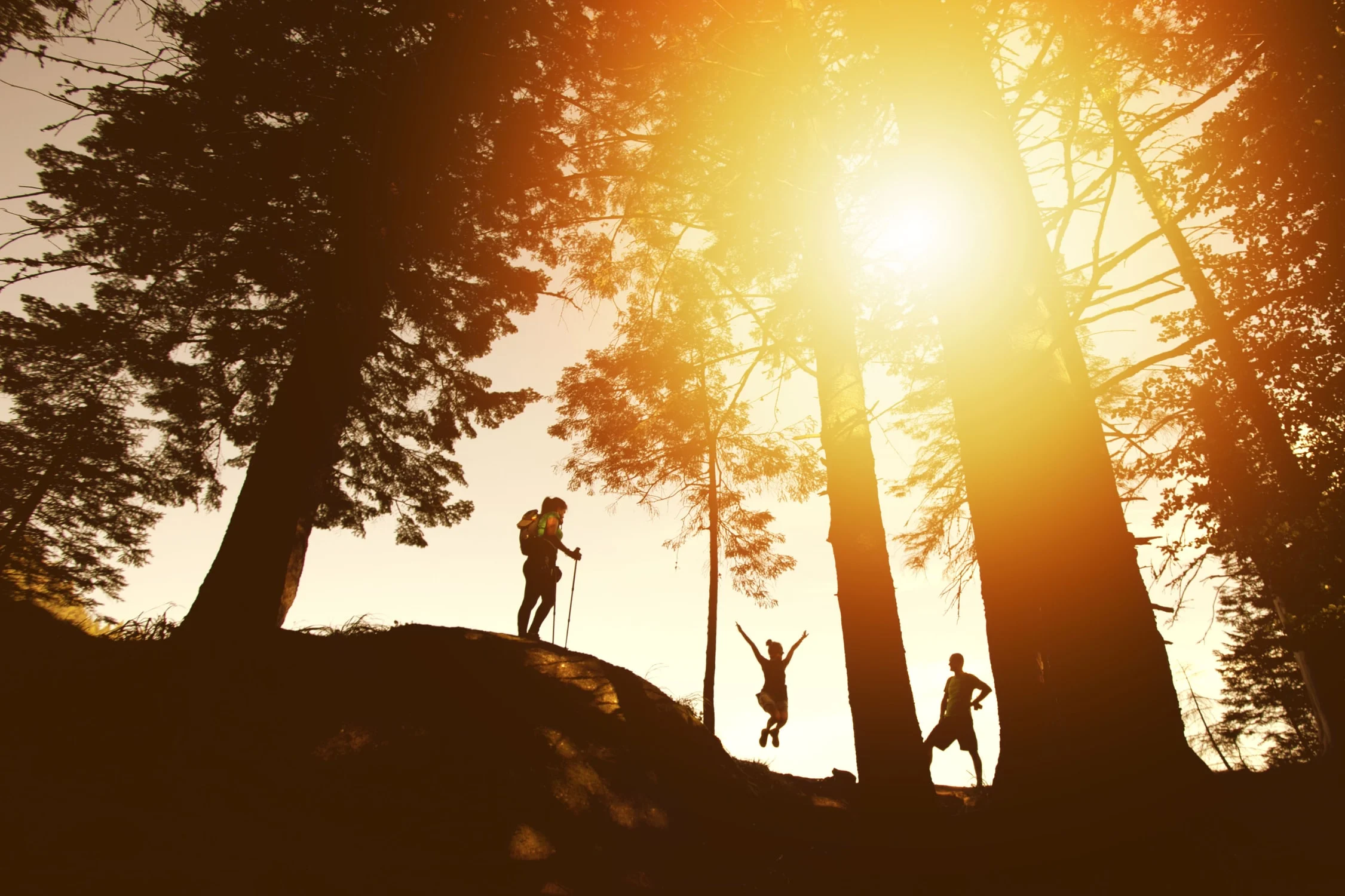 Team hiking toward sunlight in a forest