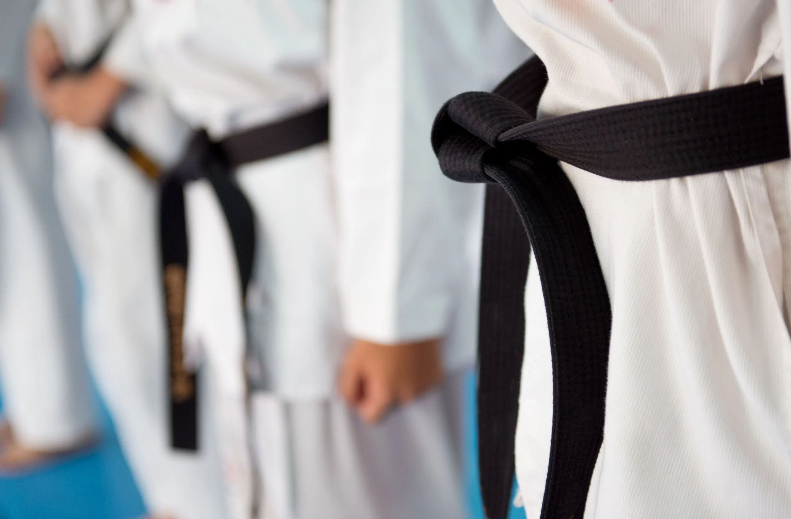 33715817 - people in martial arts training exercising taekwondo. Black Belt