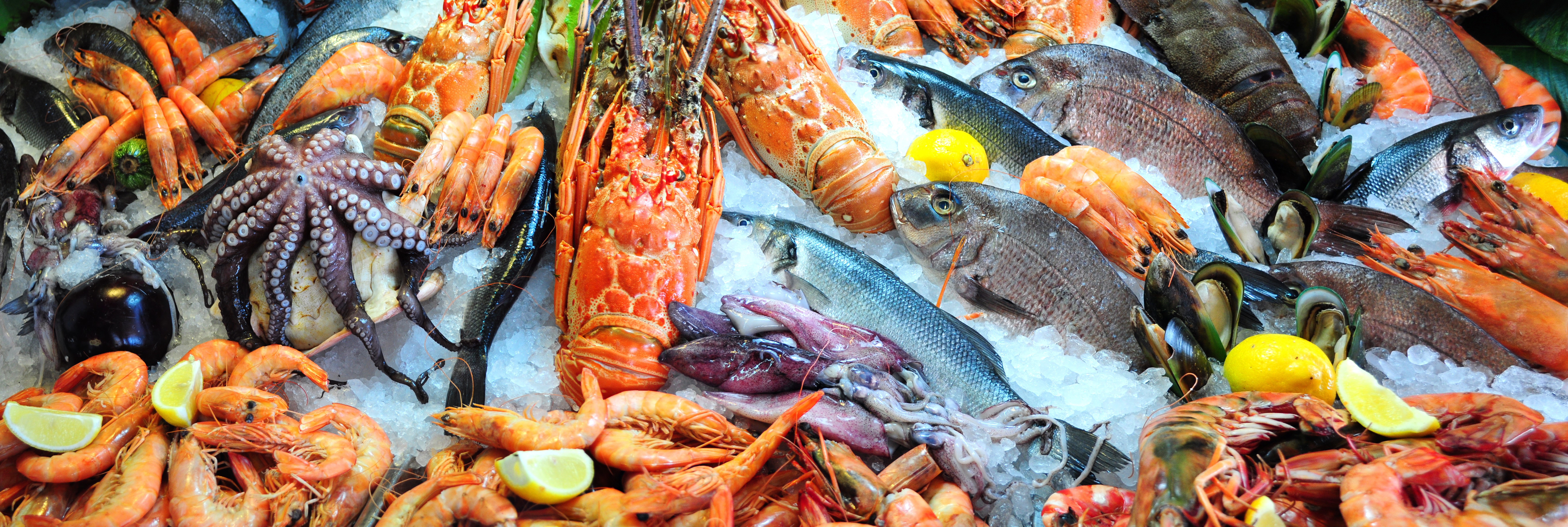 Ensure Traceability in Your Seafood Supply Chain with Tech Tools